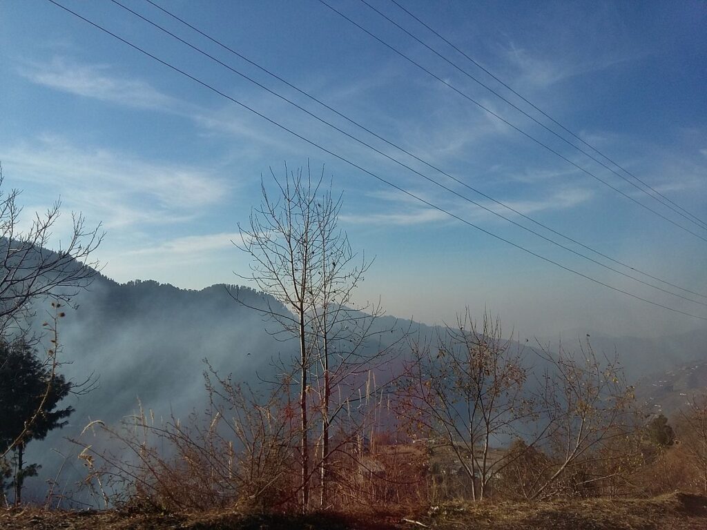 1200px-Ayubia_national_park,_Nathia_gali_road